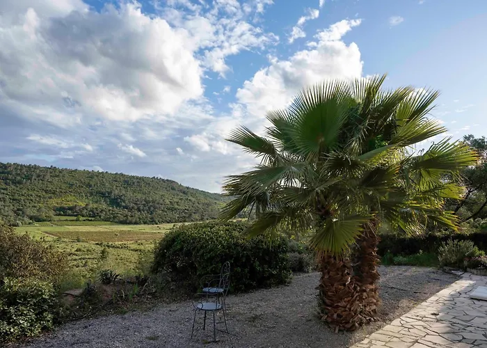Charming French With Pool