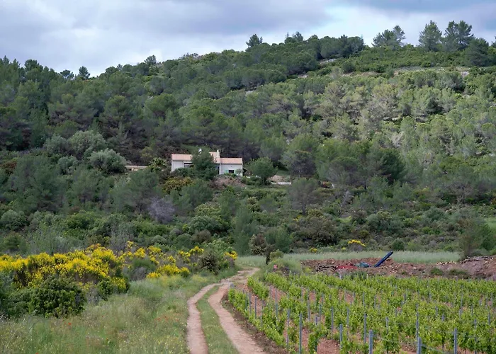 Villa Charming French With Pool Cébazan